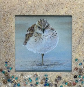 Critter Squares - Sandpiper CP e-Packet
